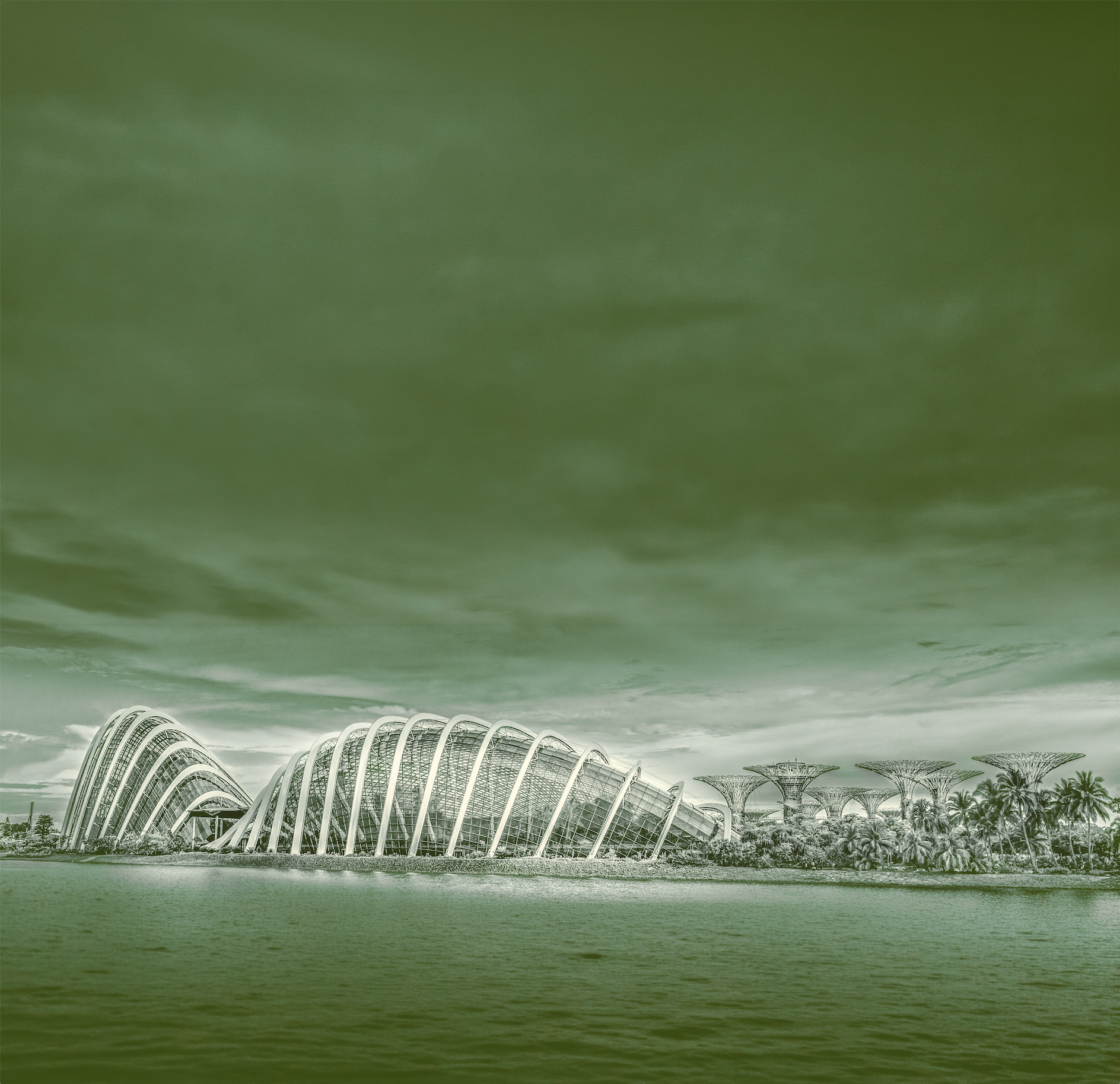 Green-toned waterfront view of Gardens by the Bay glass conservatories and Supertrees