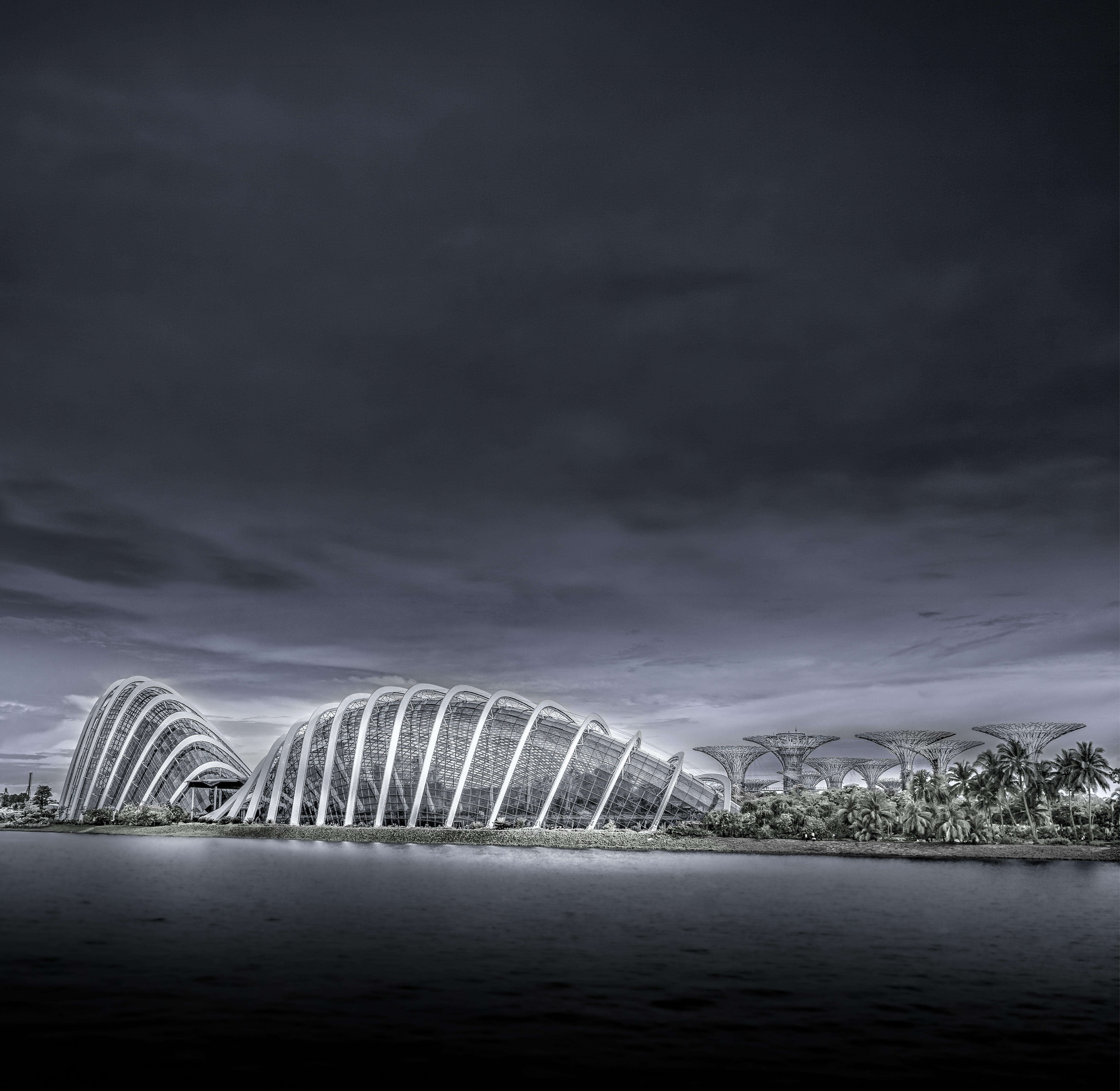 Black-and-white waterfront view of Gardens by the Bay conservatories and Supertrees from Marina Bay